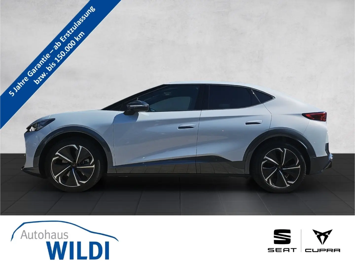 Tavascan VZ 4D 250 kW LED Navi RüKa DCC Pano ACC