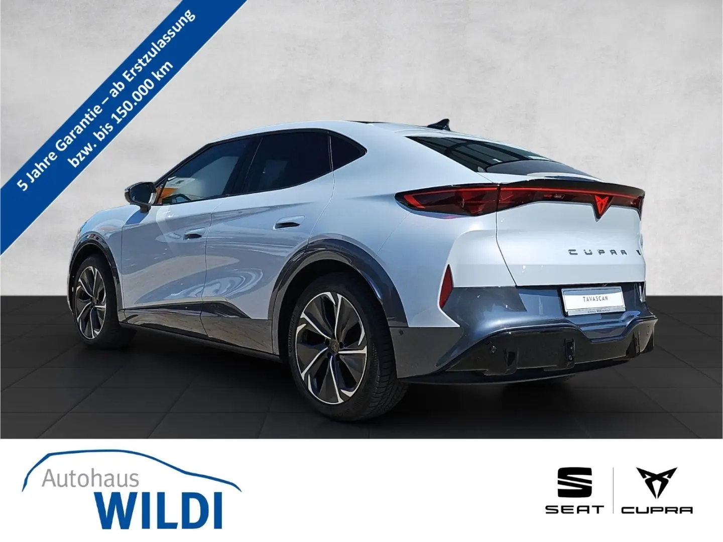 Tavascan VZ 4D 250 kW LED Navi RüKa DCC Pano ACC