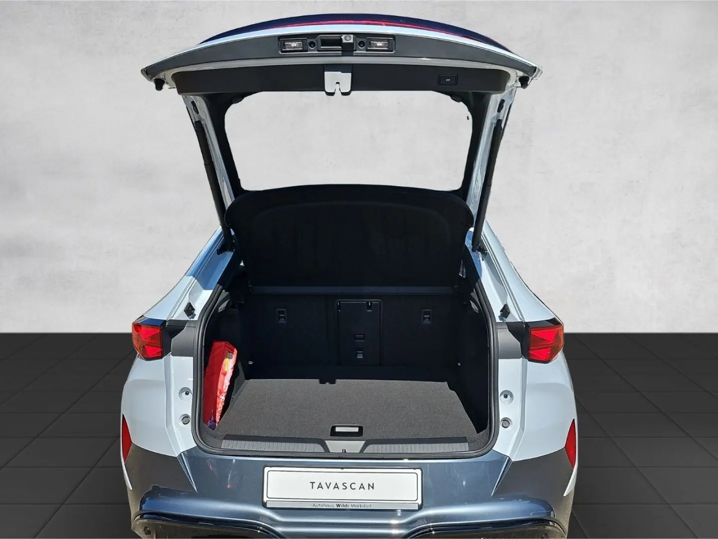 Tavascan VZ 4D 250 kW LED Navi RüKa DCC Pano ACC