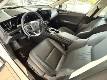 NX 350h Executive Line