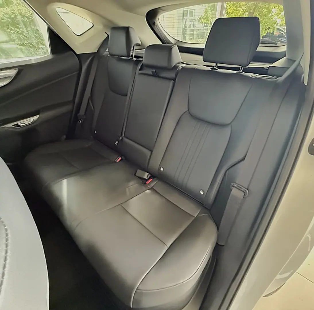 NX 350h Executive Line