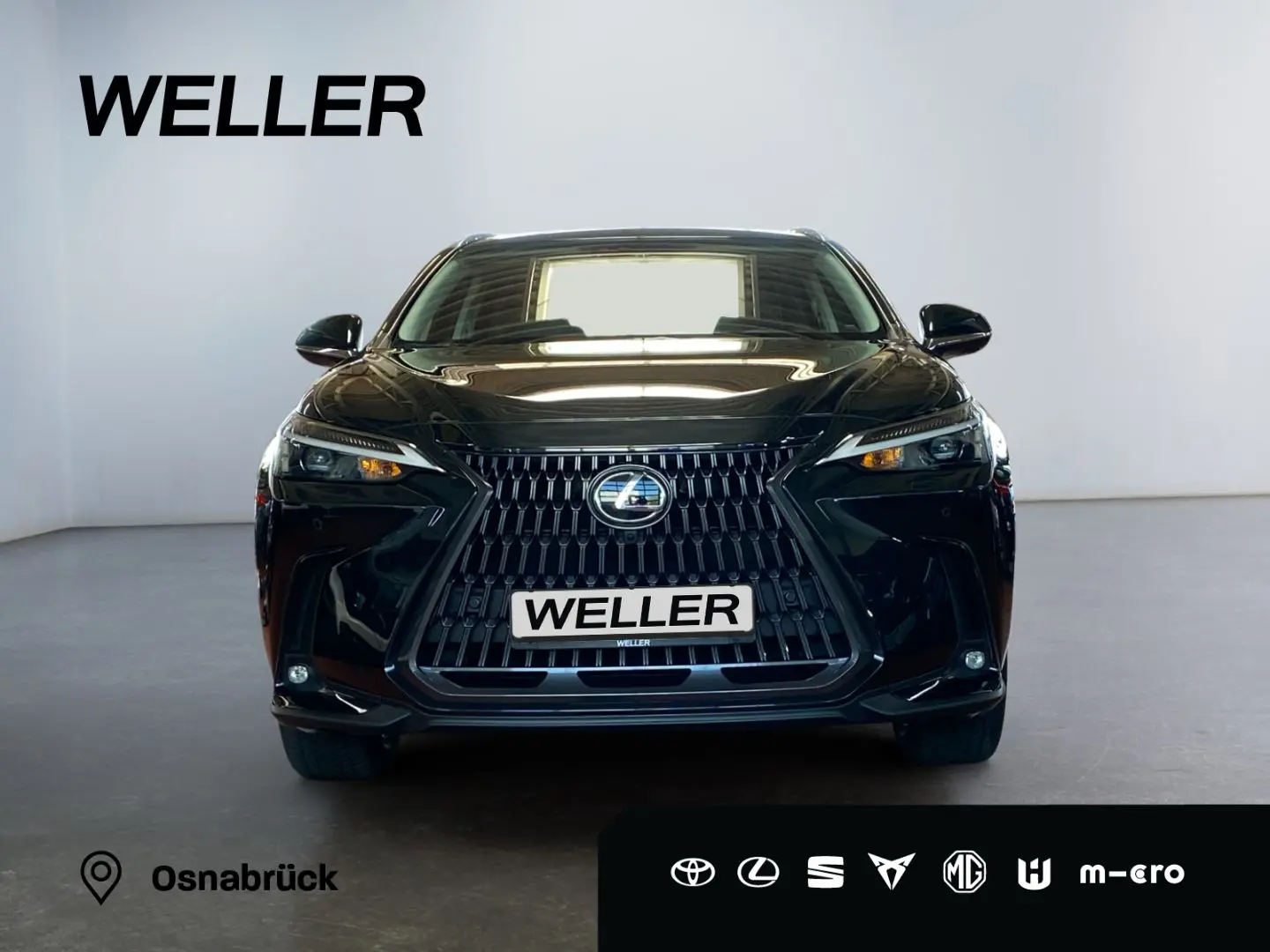 NX 350h Executive Line