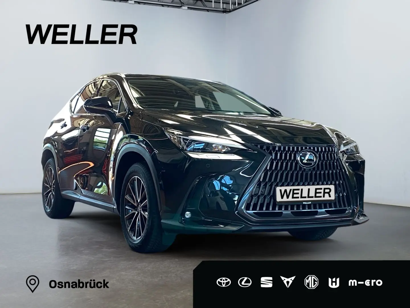 NX 350h Executive Line