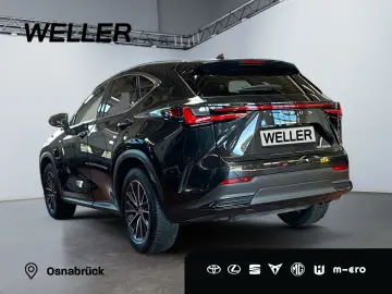 NX 350h Executive Line