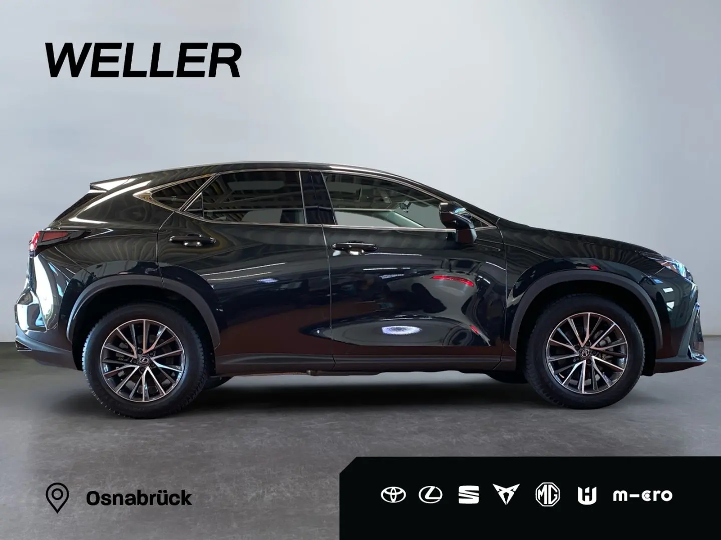 NX 350h Executive Line