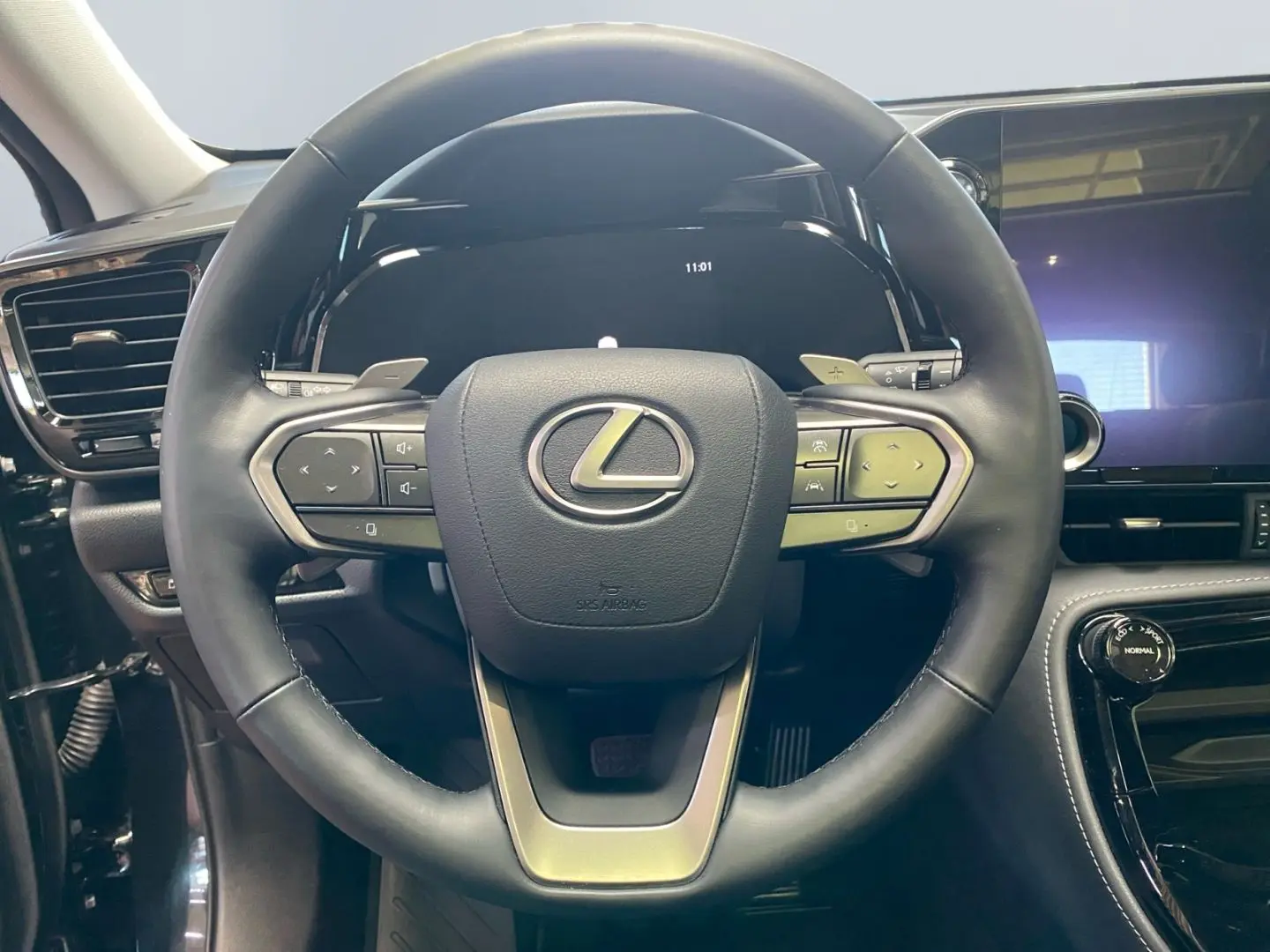 NX 350h Executive Line