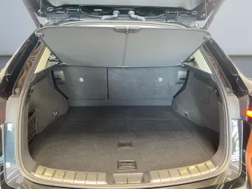 NX 350h Executive Line