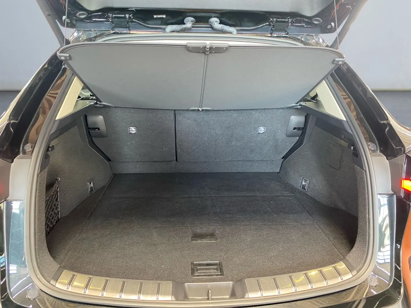 NX 350h Executive Line