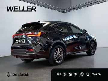 NX 350h Executive Line