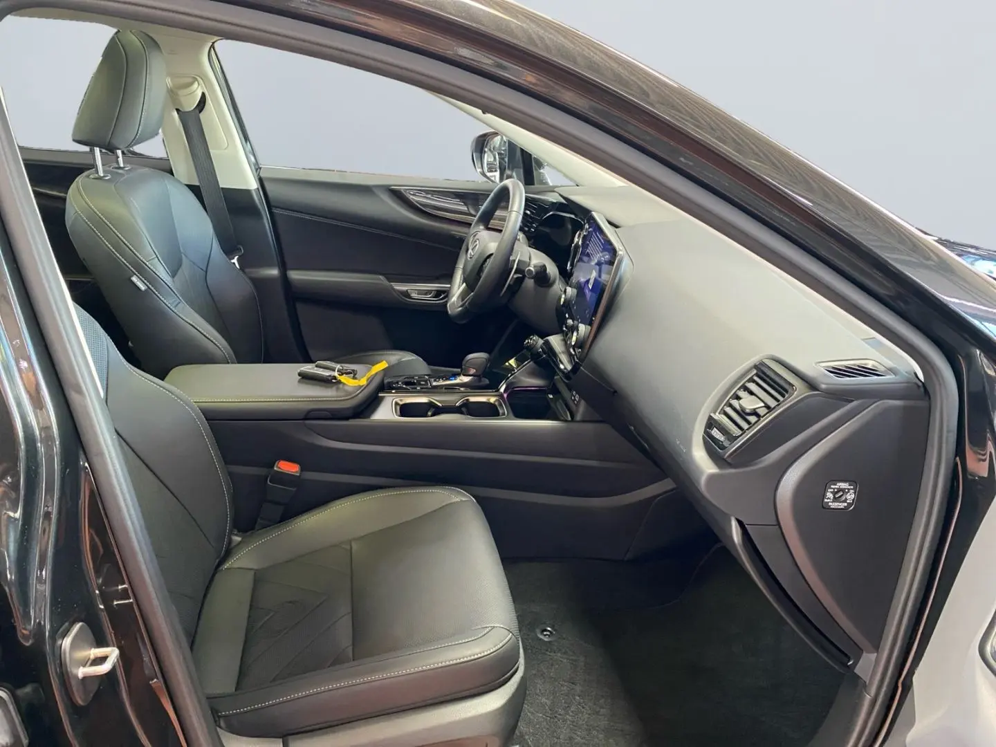 NX 350h Executive Line