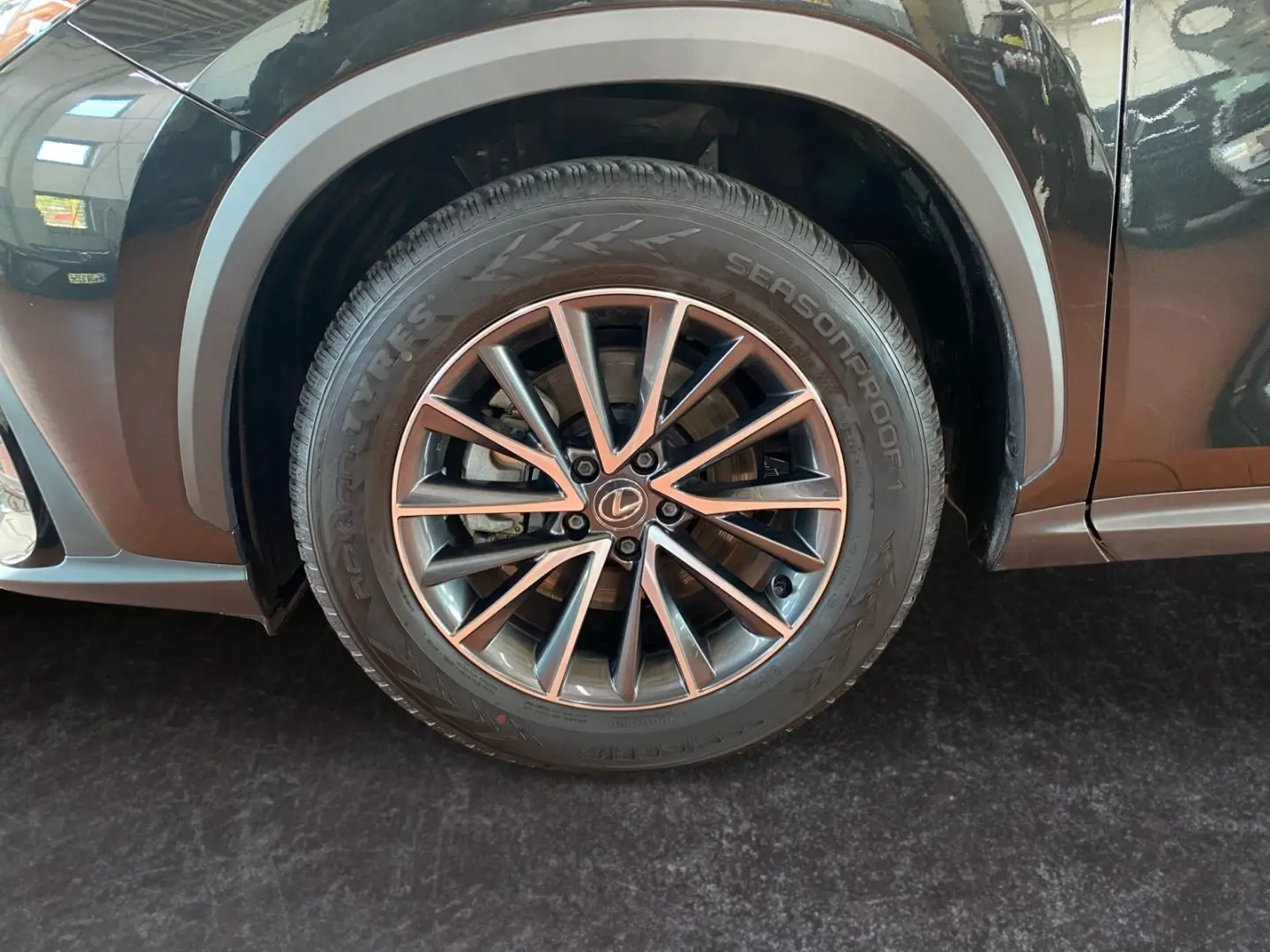 NX 350h Executive Line