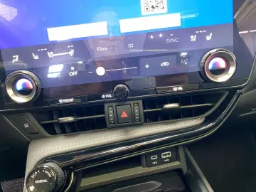 NX 350h Executive Line