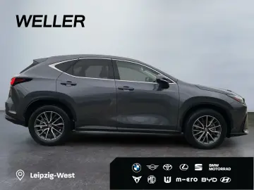 NX 350h Executive Line