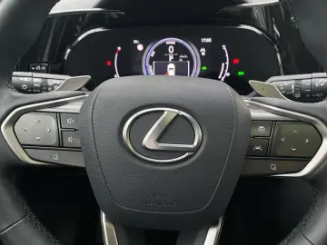 NX 350h Executive Line