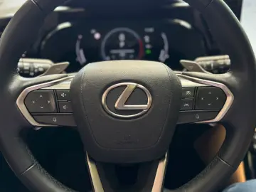 NX 350h Executive Line