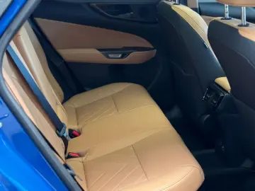 NX 350h Executive Line