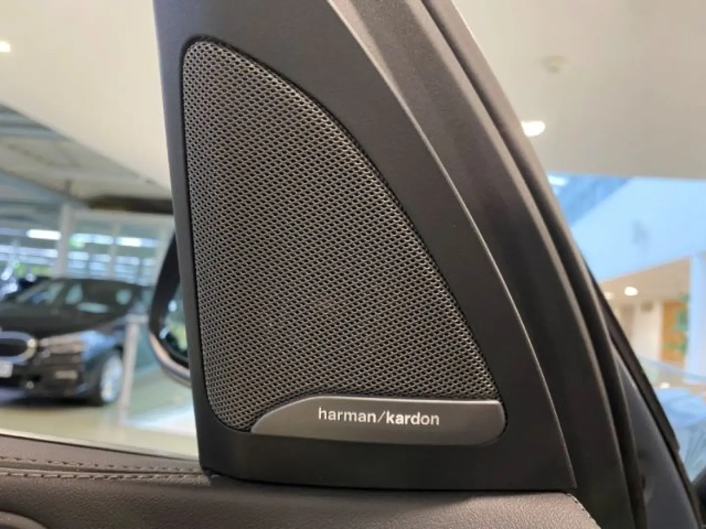 X7 xDrive 40d HUD StandHZG AHK Pano Navi Leder H