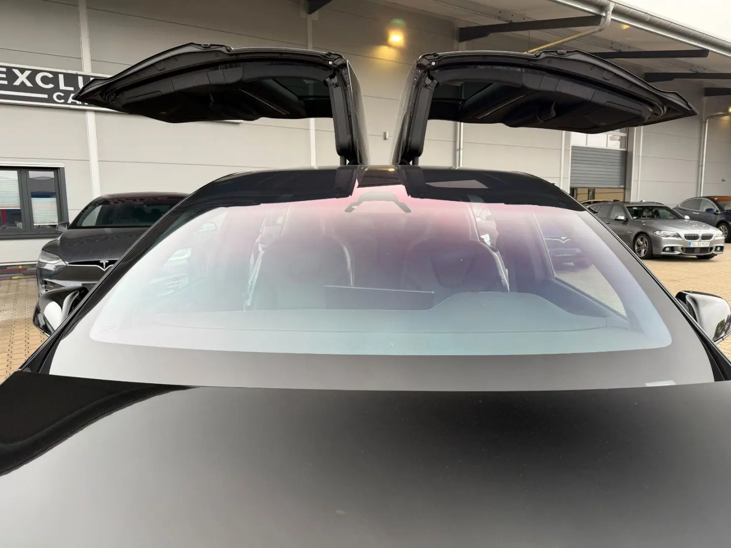 MODEL X PALLADIUM  ENHANCED AP   6SEATER