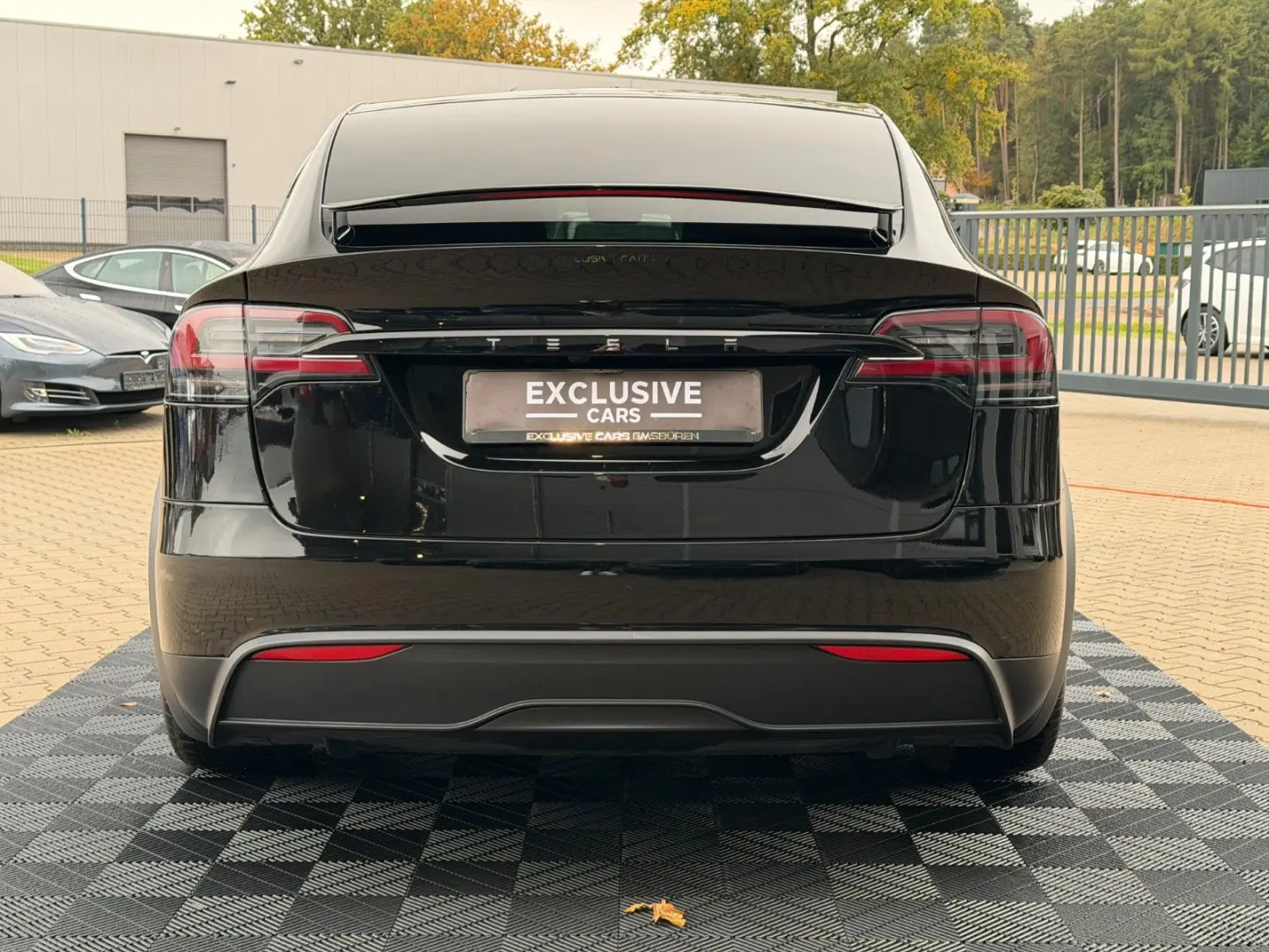 MODEL X PALLADIUM  ENHANCED AP   6SEATER