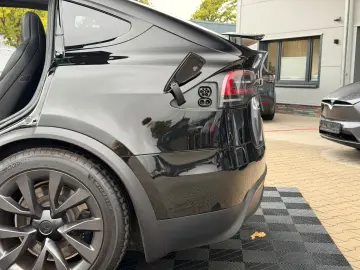 MODEL X PALLADIUM  ENHANCED AP   6SEATER