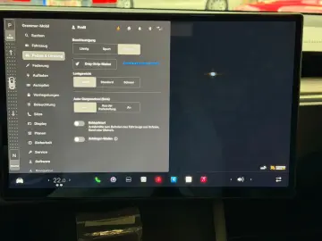 MODEL X PALLADIUM  ENHANCED AP   6SEATER