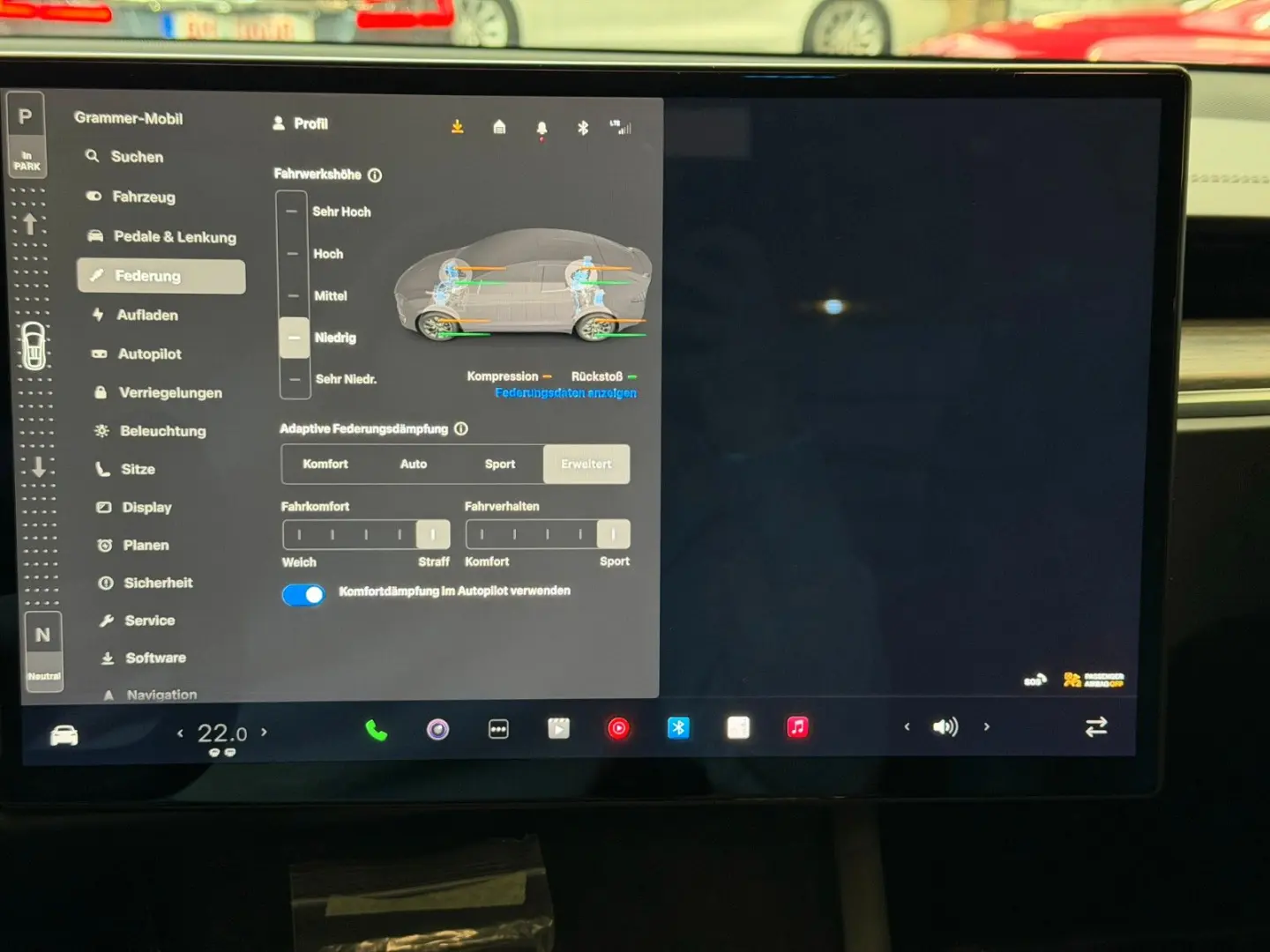 MODEL X PALLADIUM  ENHANCED AP   6SEATER