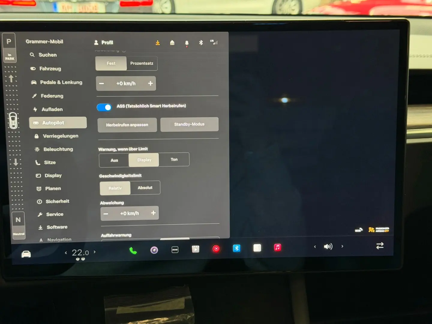 MODEL X PALLADIUM  ENHANCED AP   6SEATER