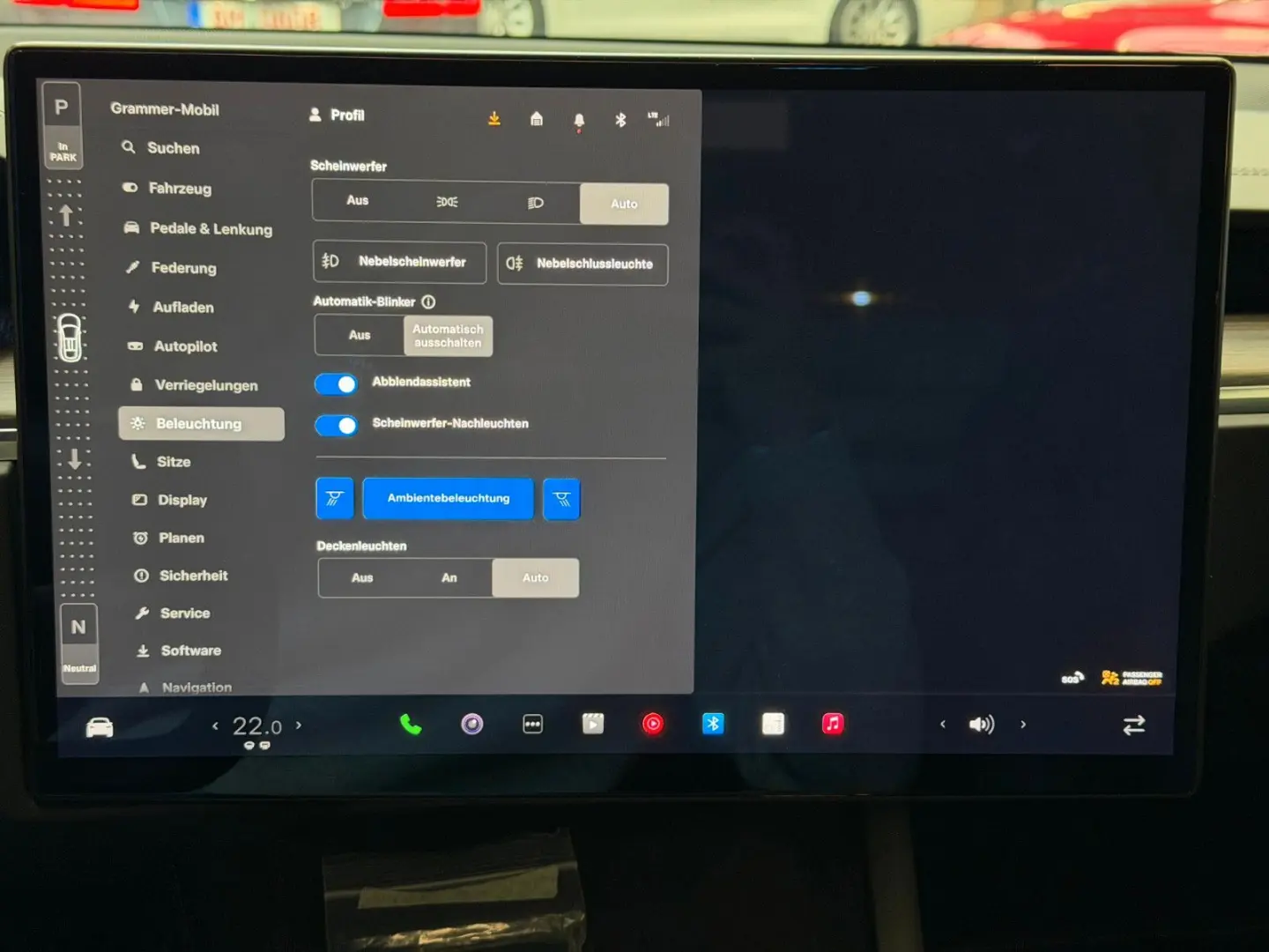 MODEL X PALLADIUM  ENHANCED AP   6SEATER