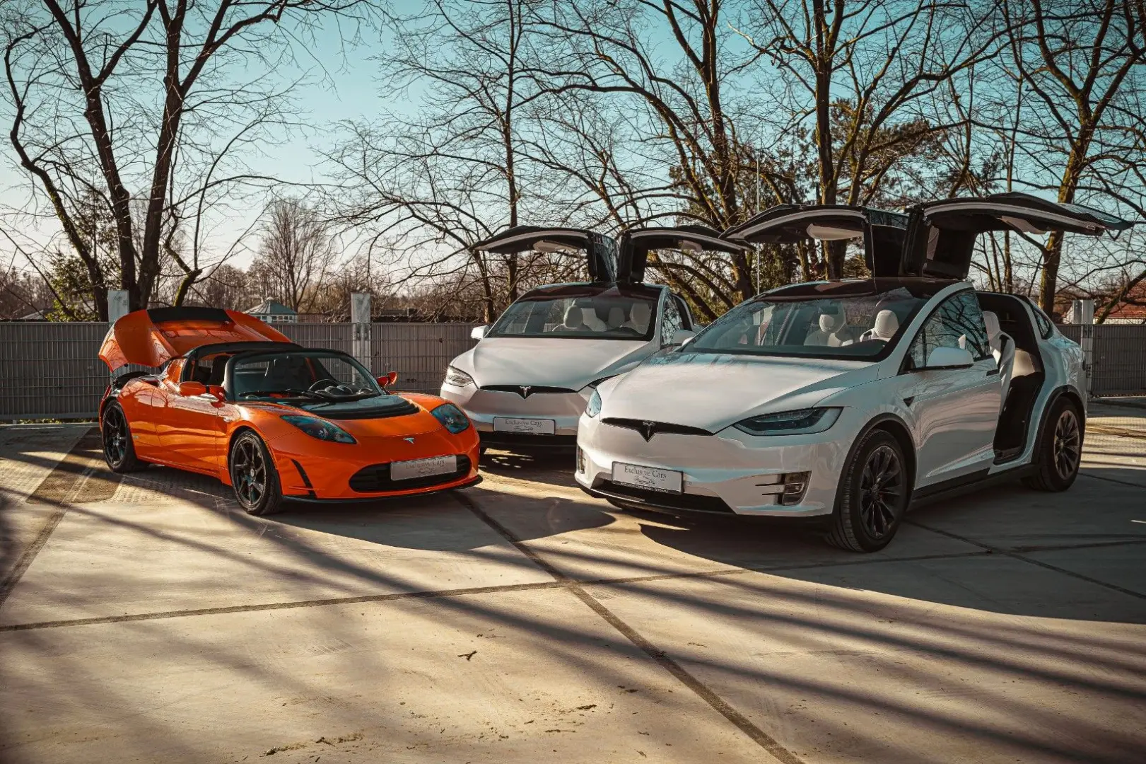 MODEL X PALLADIUM  ENHANCED AP   6SEATER