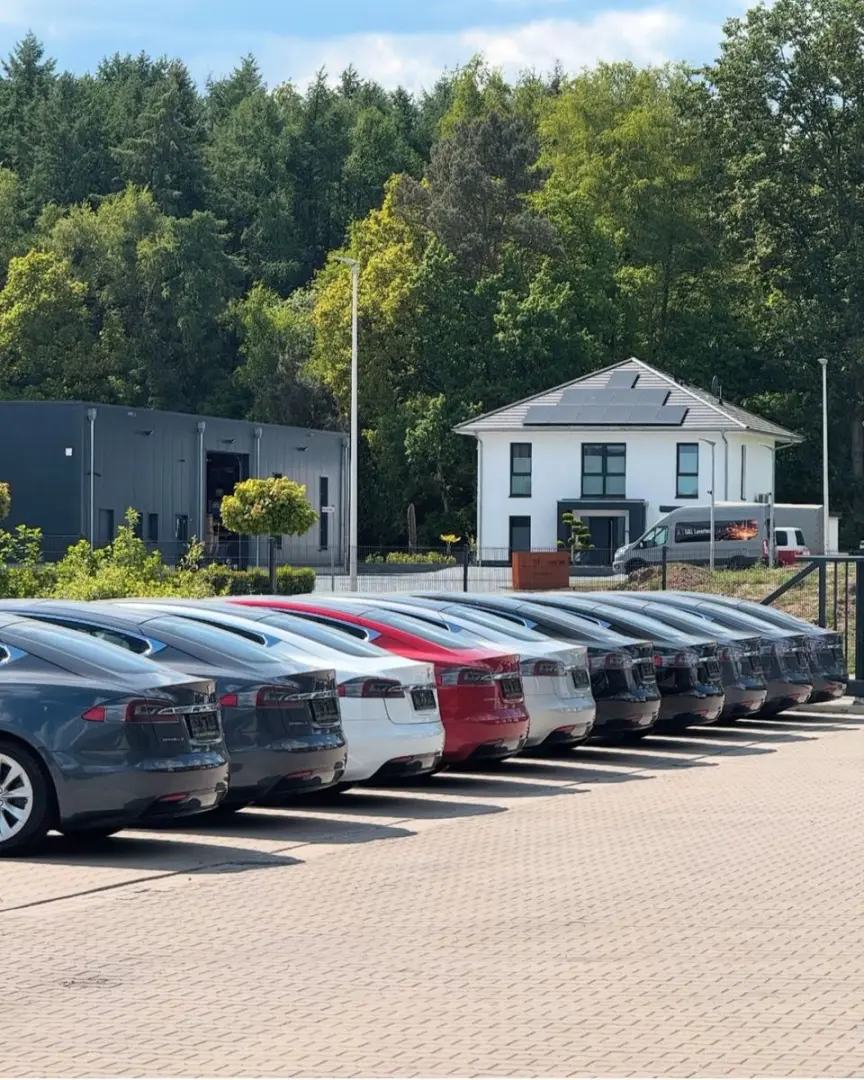 MODEL X PALLADIUM  ENHANCED AP   6SEATER