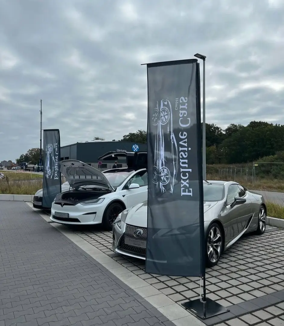 MODEL X PALLADIUM  ENHANCED AP   6SEATER