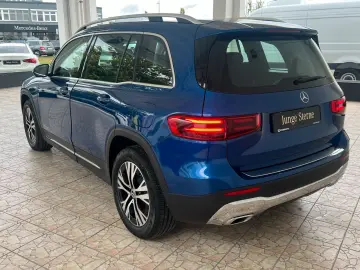 GLB 250 4M Progressive Standheizung Kamera AHK