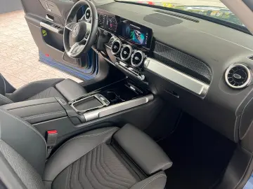 GLB 250 4M Progressive Standheizung Kamera AHK