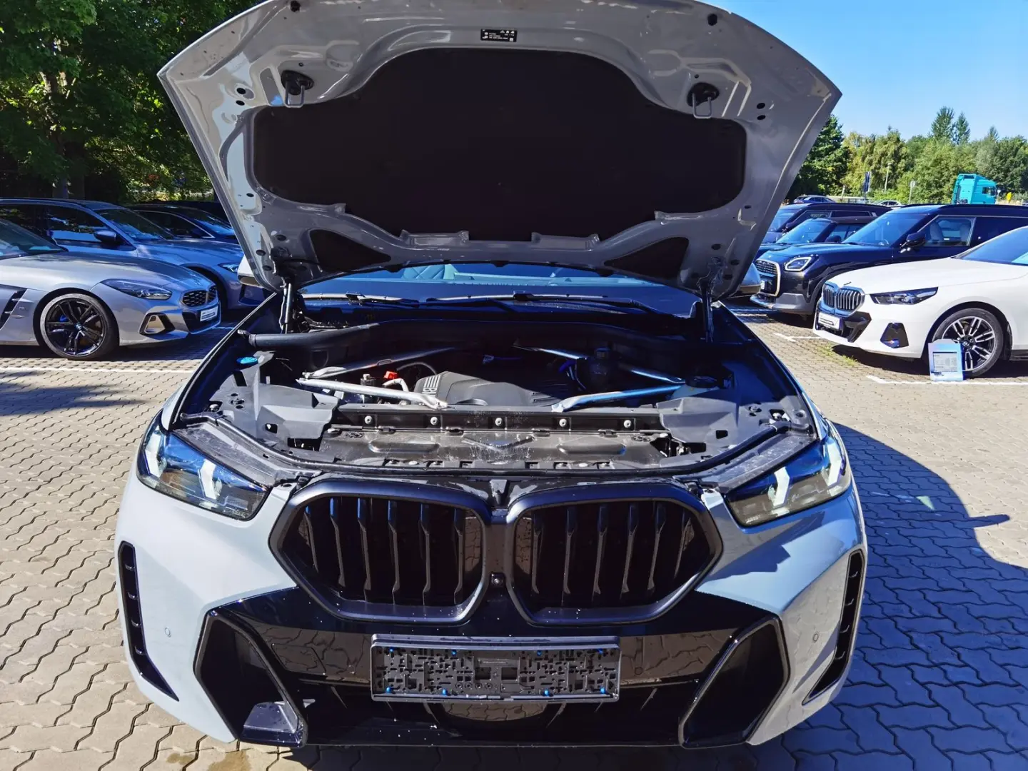 X6 xDrive30d M Sport AHK Driv.Assist.Prof LED