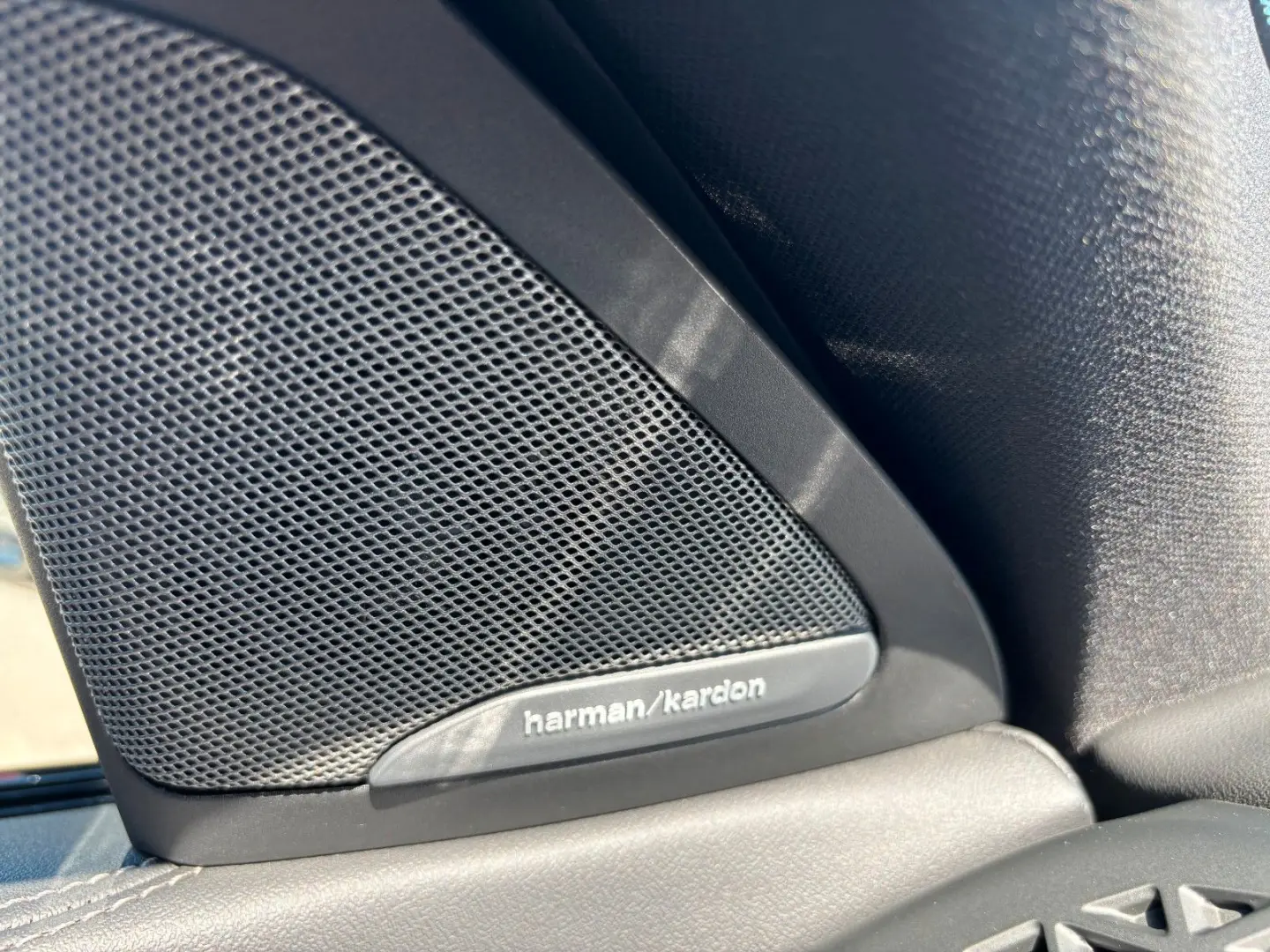 X6 30d xDriveM-Sport Pro M-Sitz SoftCl. Standhzg