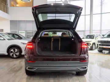 Audi Q8 55 TFSI quattro Tiptronic