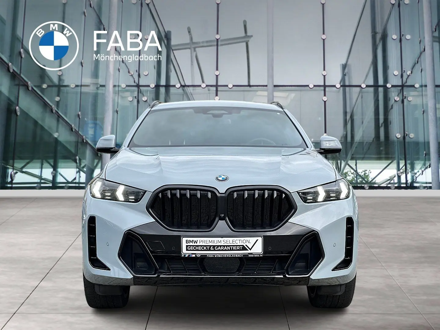 X6 xDrive30d M Sport Sportpaket Gestiksteuerung