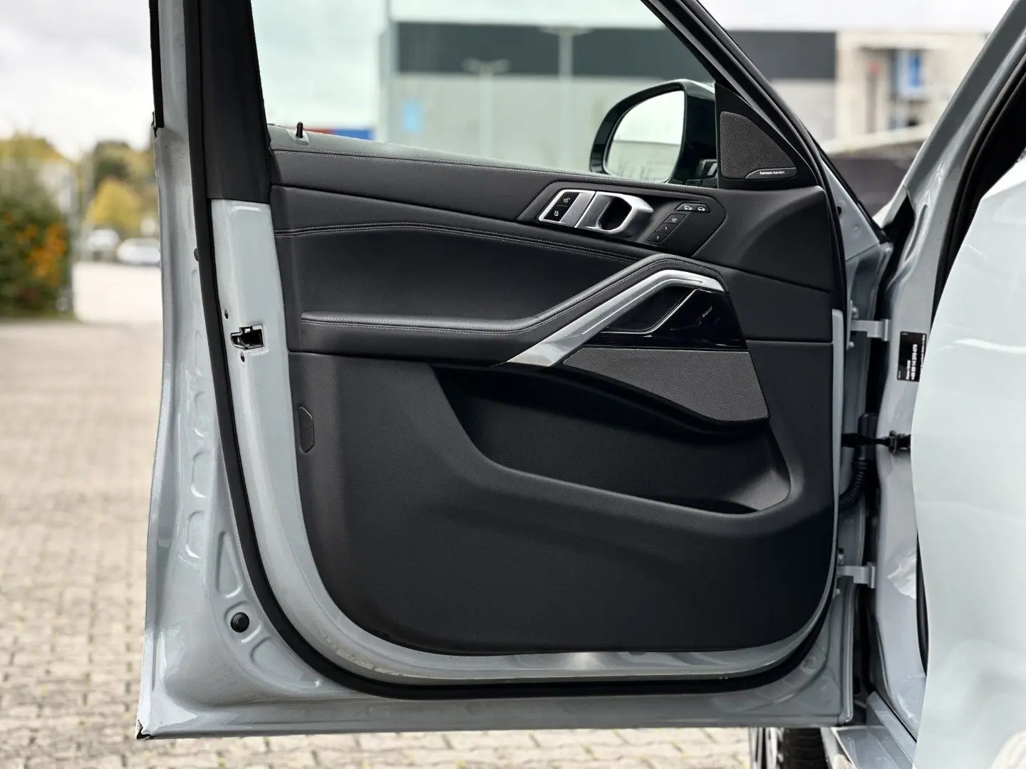 X6 xDrive30d M Sport Sportpaket Gestiksteuerung