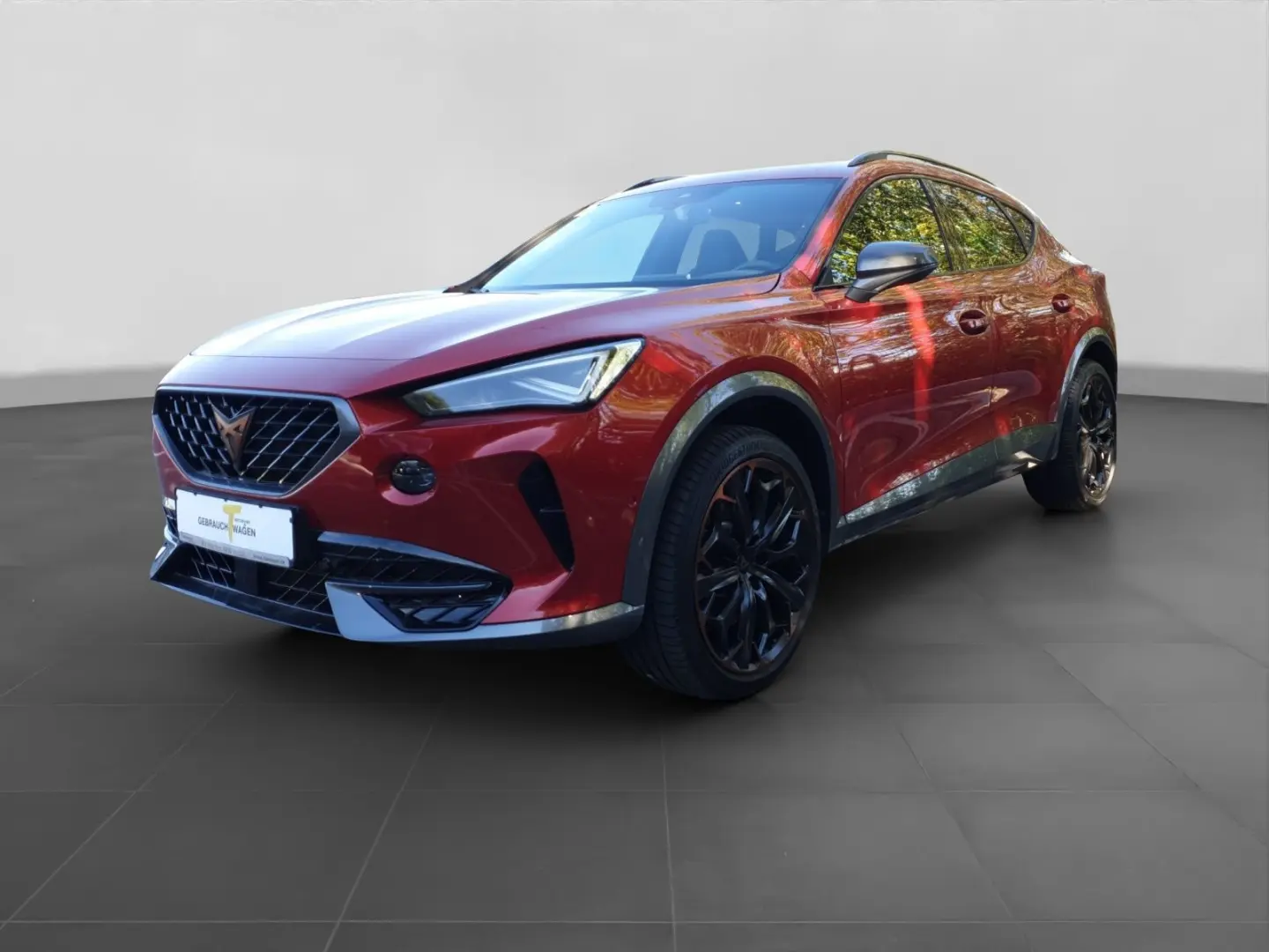 Formentor VZ AHK MATRIX PANO LEDER BEATS