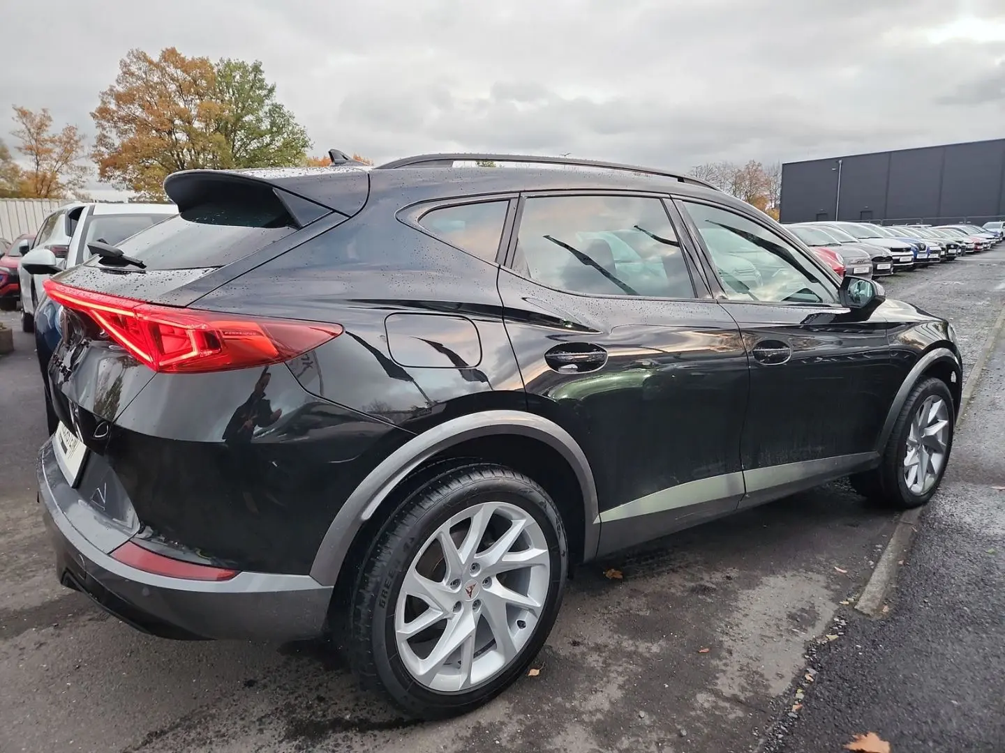 Formentor 4Drive 2.0 TSI Schalensitze Memory All