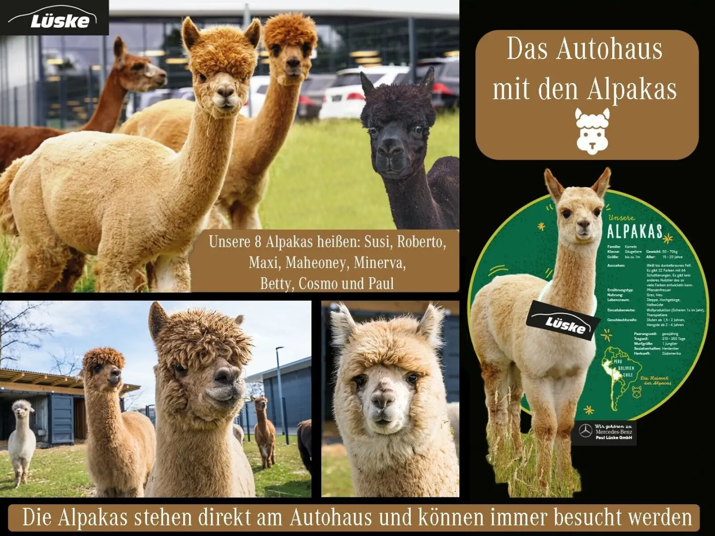 V 250 d AVANTGARDE Lang AMG Line AIRMATIC Pano