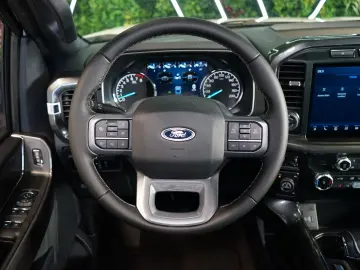 XLT 5.0 V8 75-YEARS 360 TOW 69.091€ NETTO