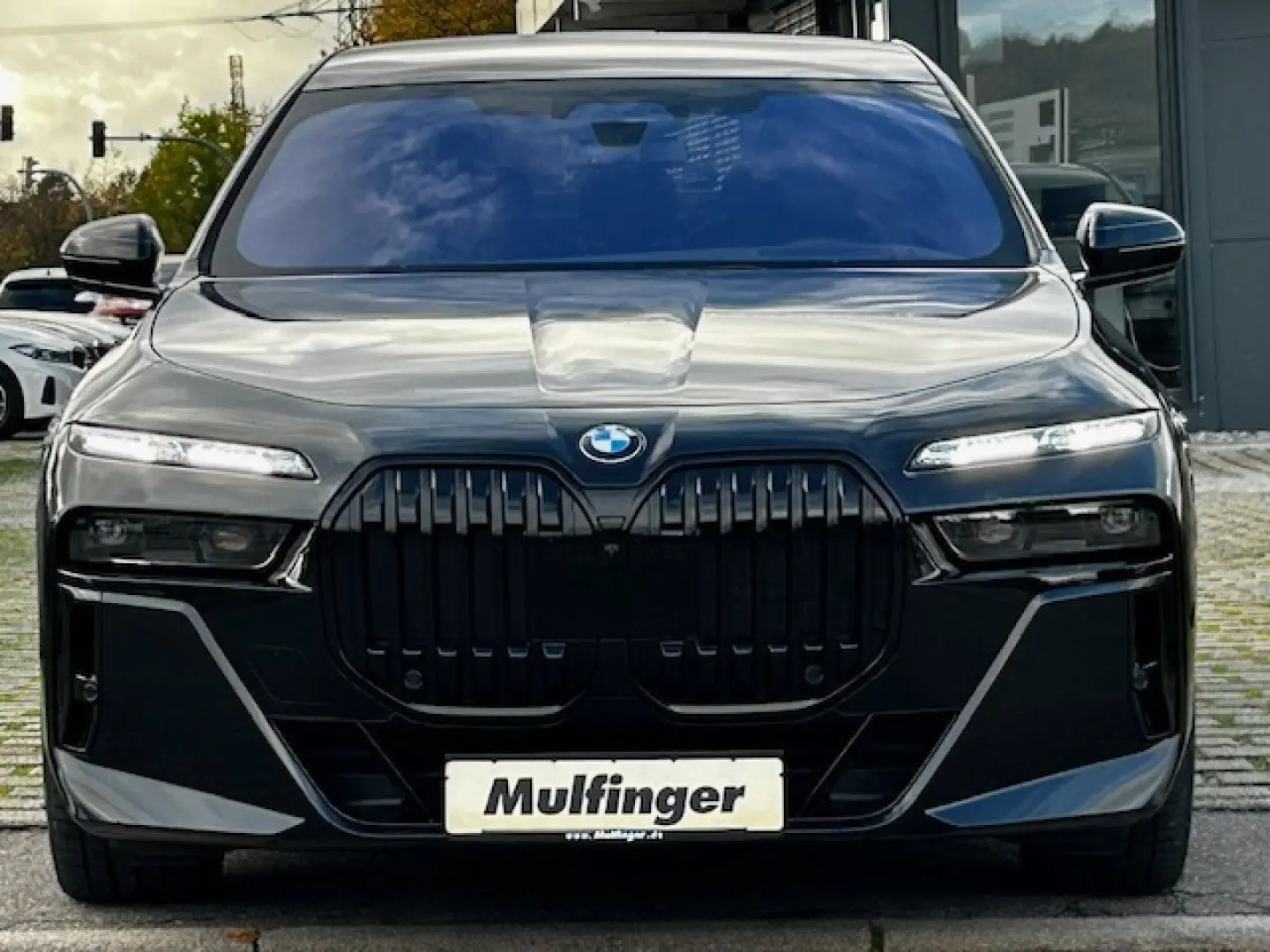 740d xDr.M Sport Pro Executive Fond Sky 161930 -