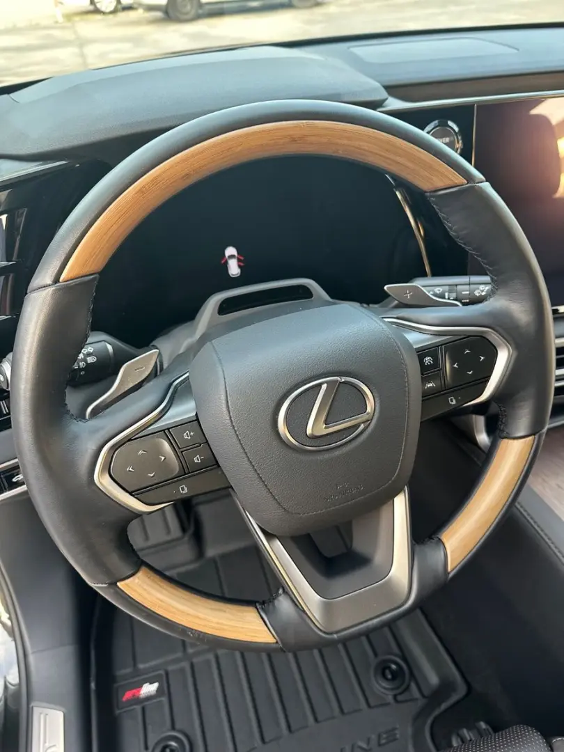 RX 450 h  E-Four Luxury Line Deutsch Top Zustand