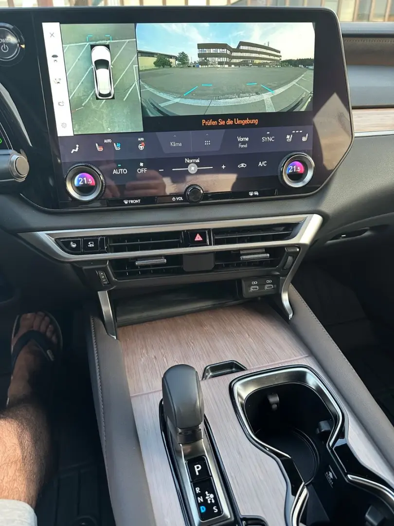 RX 450 h  E-Four Luxury Line Deutsch Top Zustand