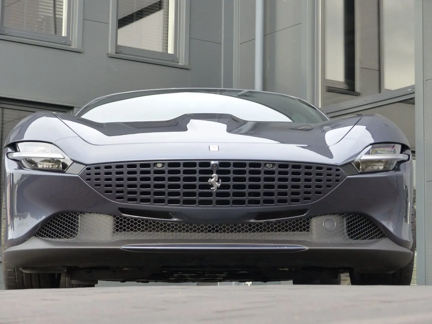 Roma Daytona Cognac Cuoio