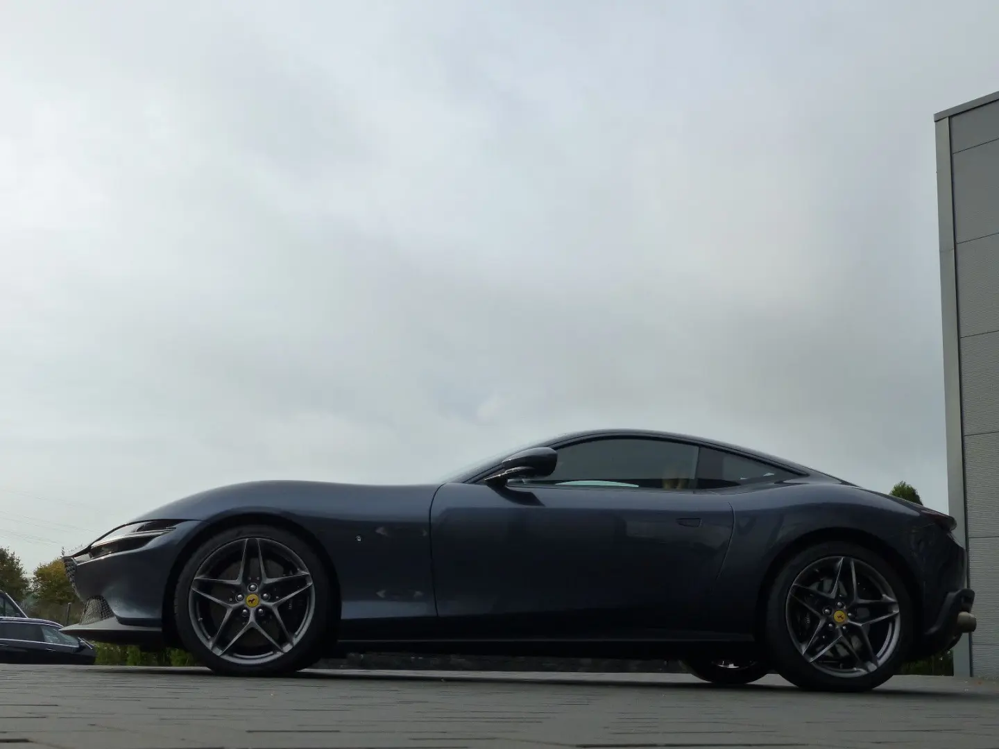 Roma Daytona Cognac Cuoio