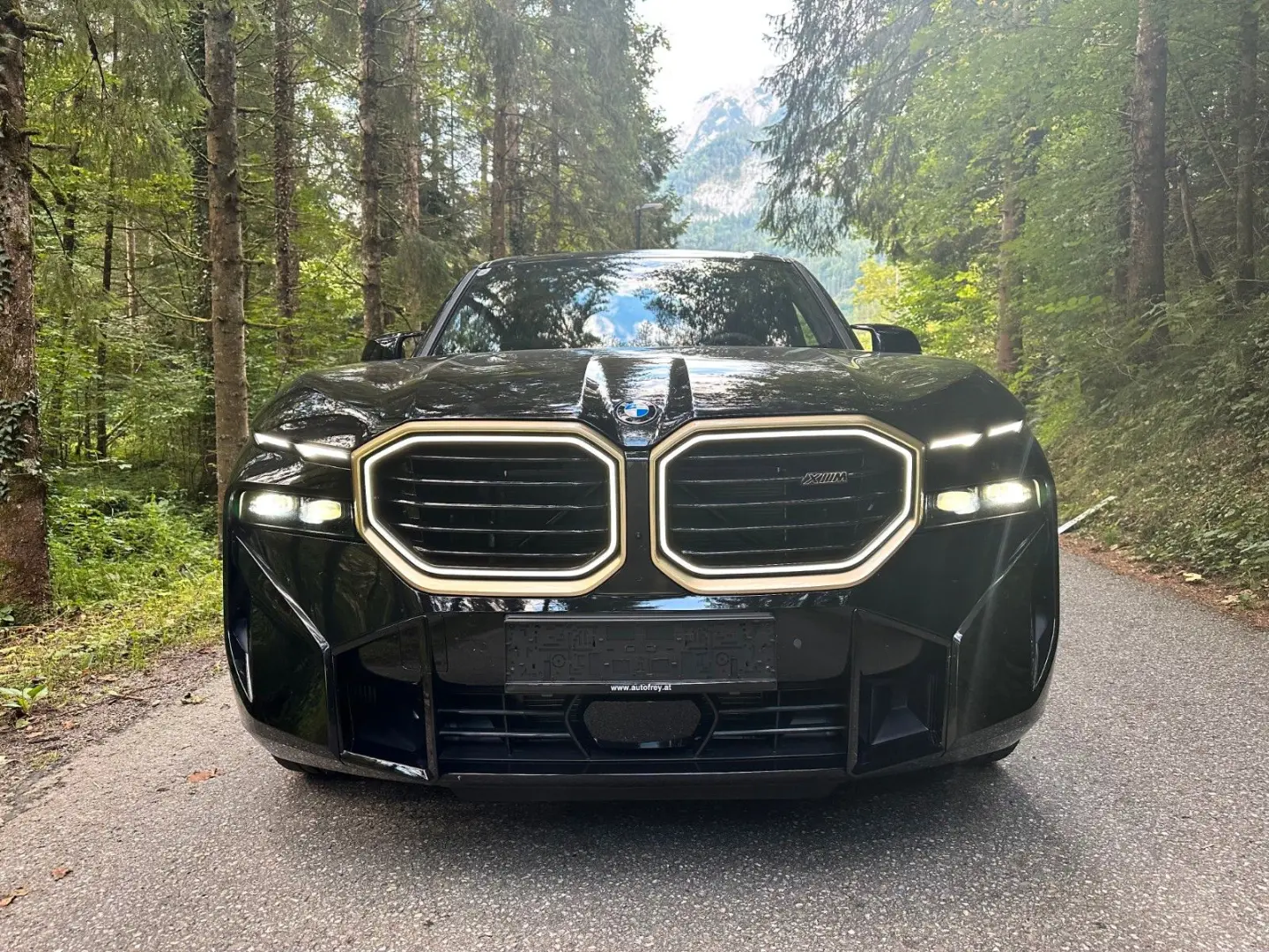 XM 4.4  sofort--Top AHK-