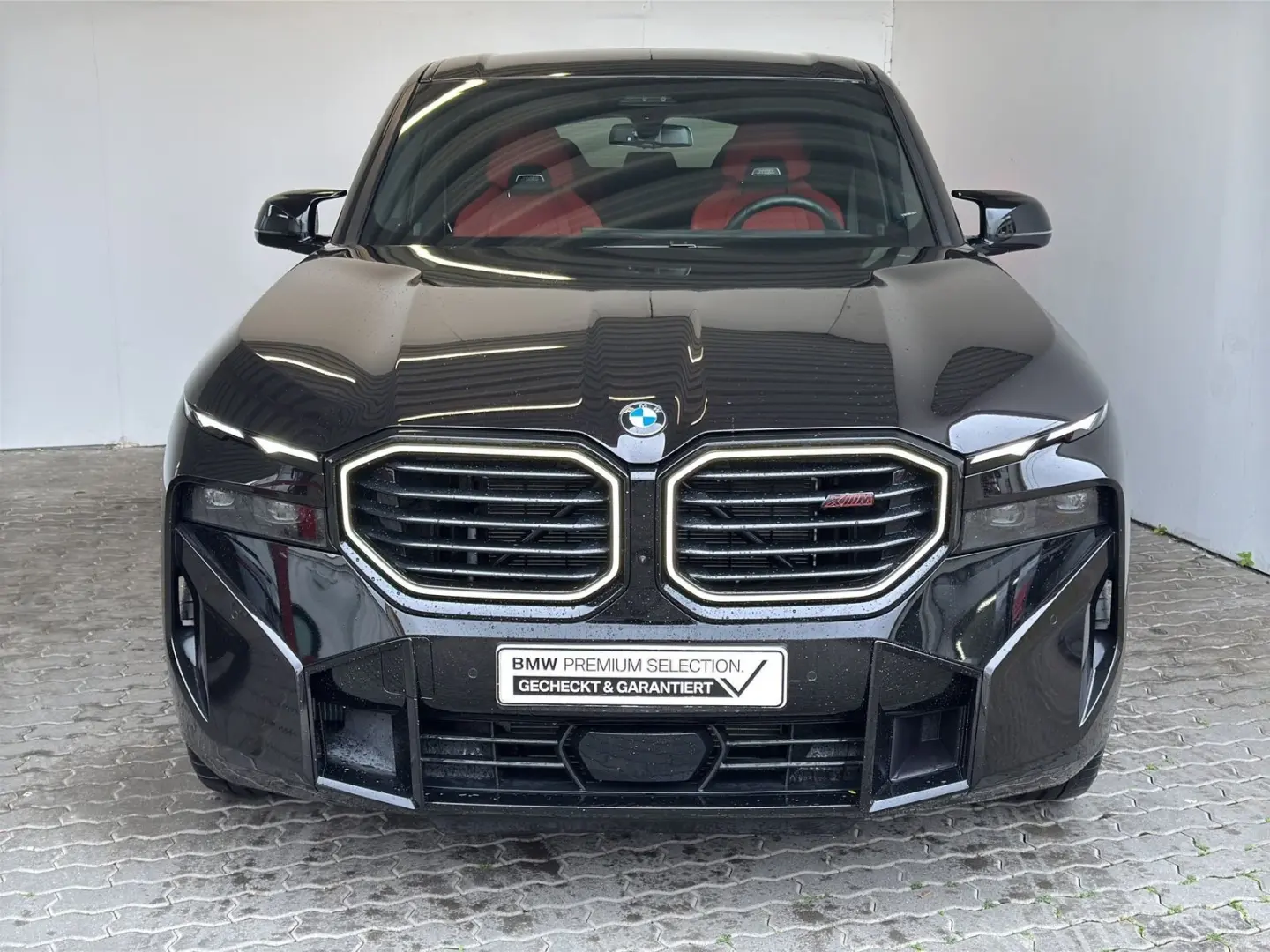 XM Label M Drivers LiveCock.B&W.AHK.MFahrw.Gest