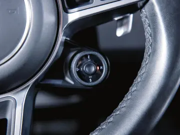 Cayenne E-Hybrid Panoramadach Luftfederung